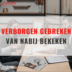 Verborgen gebreken van...
